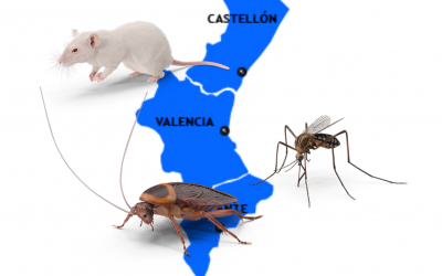 Enfrentarse a las plagas más comunes de la de la Comunidad Valenciana